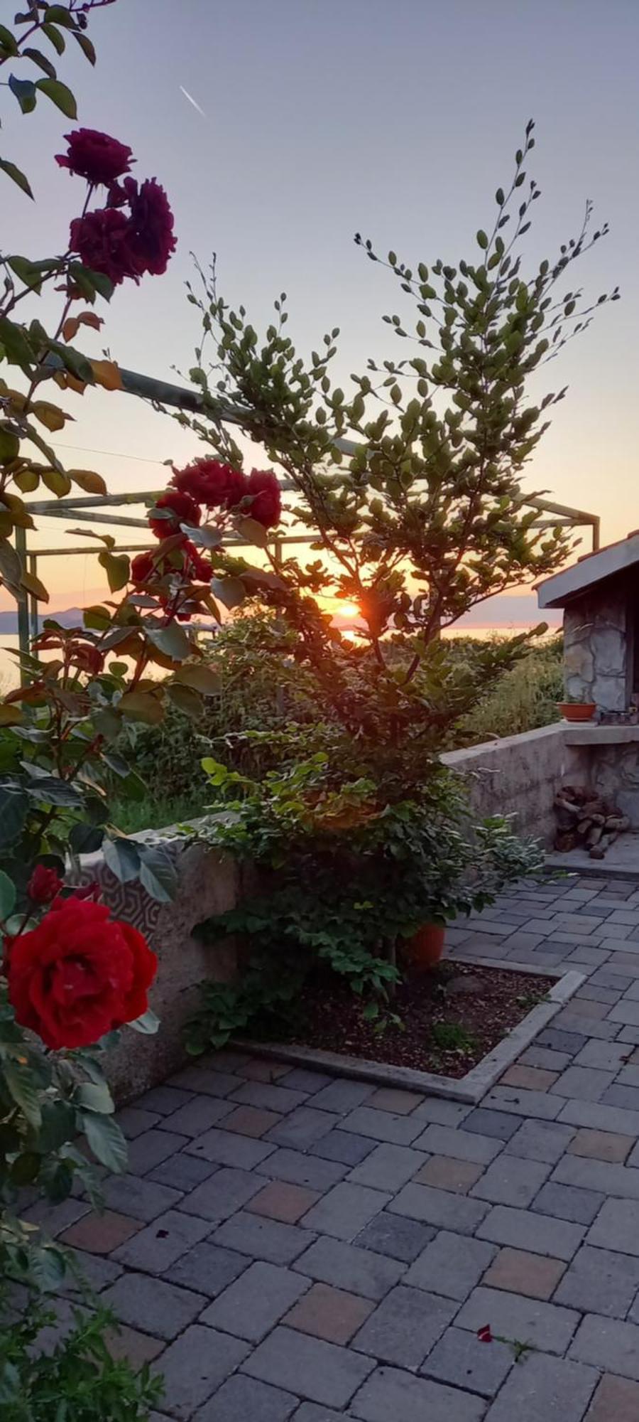 Appartamento Mustapictanja Bibinje Esterno foto